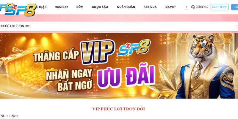 VIP tại SP8 sẽ nhận được nhiều ưu đãi, thưởng hấp dẫn